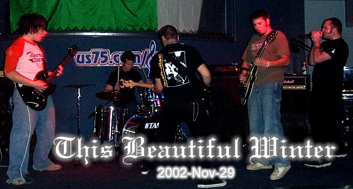 This Beautiful Winter