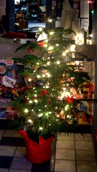 Norfolk Island Pine with lights in our lobby